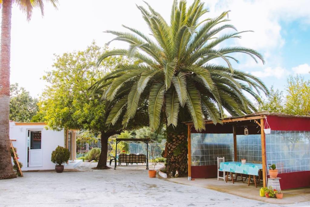 Casita Gopal Villa Icod de los Vinos Kültér fotó